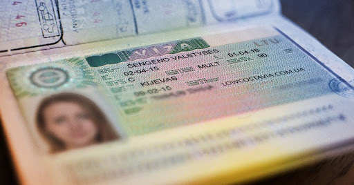 Conventional Employment Visa Track